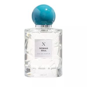 Shop Nomad Soul EDP 100ML | Perfume UAE