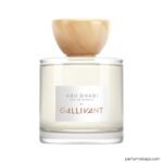 ABU DHABI EDP 100ML