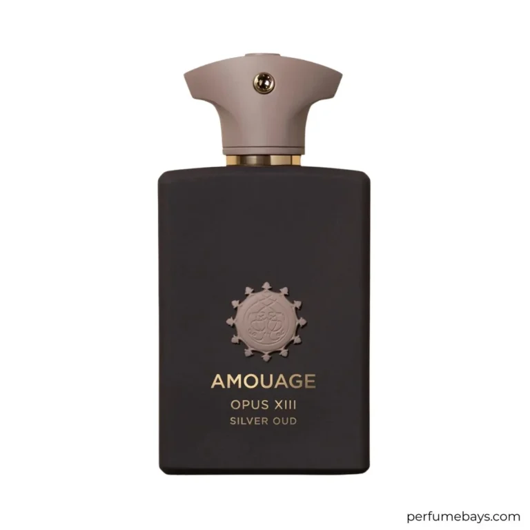 OPUS XIII SILVER OUD EDP 100ML