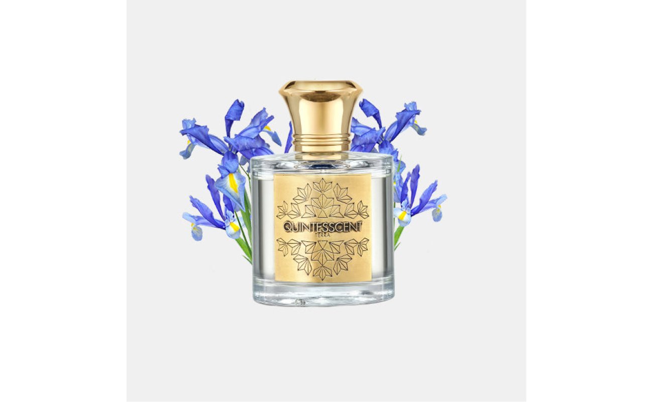 Terra EDP 100ML