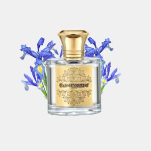 Buy TERRA EDP 100ML | Perfume UAE