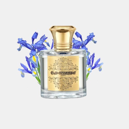 Terra EDP 100ML