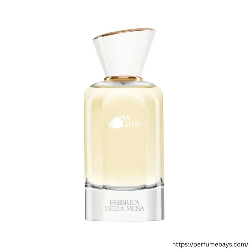 VIA VELLUTO EDP 100ML