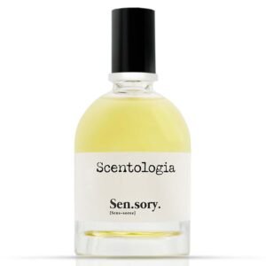 Buy Scentalogia Sensory EDP – Best Perfume UAE | Perfumebay