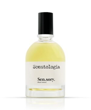 Buy Scentalogia Sensory EDP – Best Perfume UAE | Perfumebay