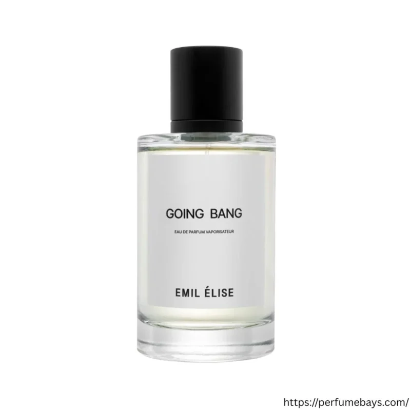 Going Bang Edp 100ml