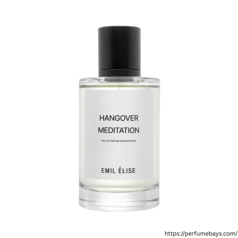 Hangover Meditation Edp 100mll