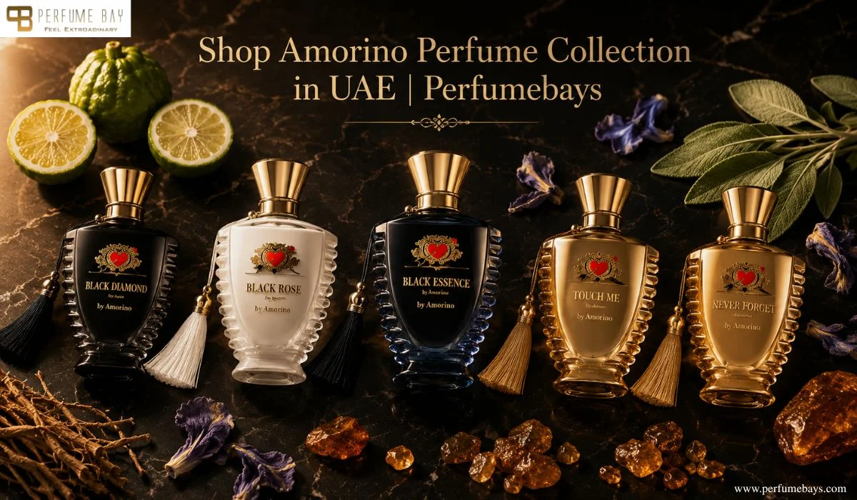 Shop Amorino Perfume Collection in UAE | Perfumebays